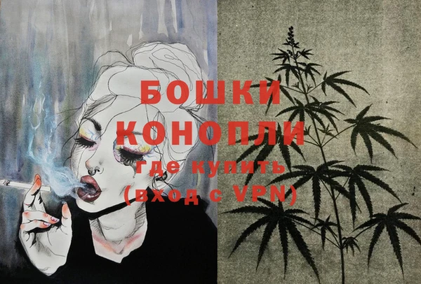 дмт Белокуриха