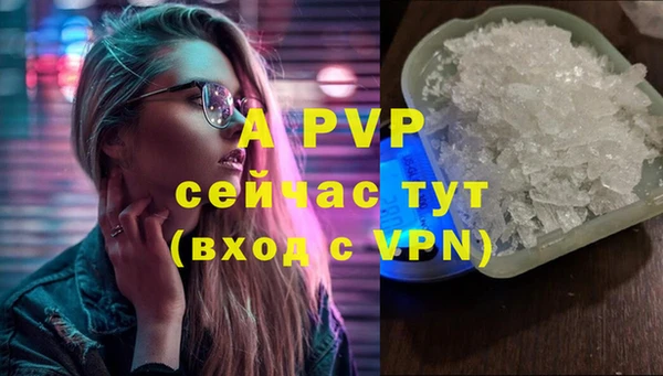 дмт Белокуриха