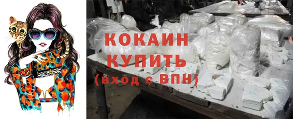 дмт Белокуриха