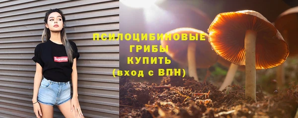 МДМА Беломорск