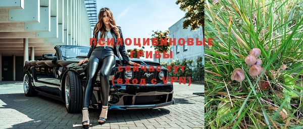 дмт Белокуриха
