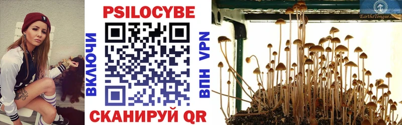 кракен вход  где найти   Богородск  Псилоцибиновые грибы MAGIC MUSHROOMS 